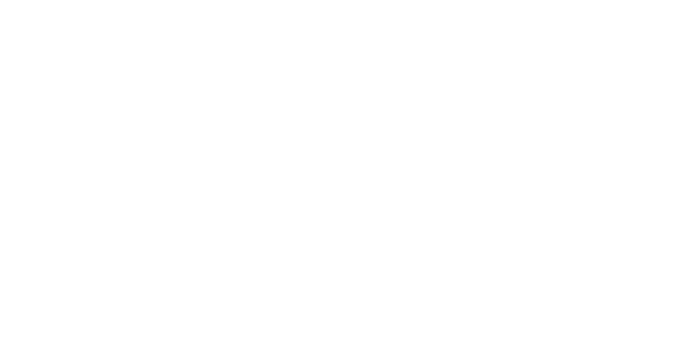 Logo-Templates_Webshopimporter_0003s_0002s_0002_LOGO-LIGHTSPEED