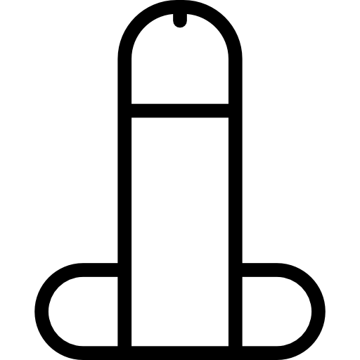 penis