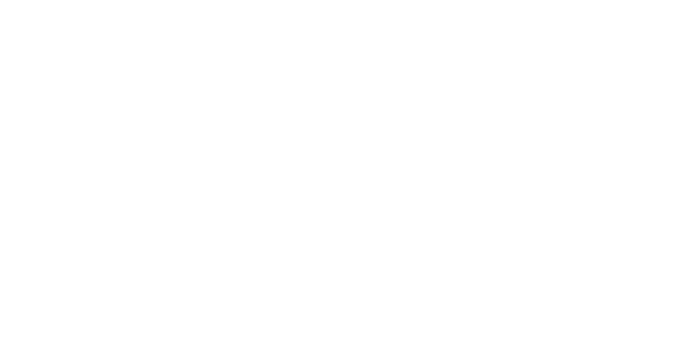 Logo-Templates_Webshopimporter_0003s_0002s_0005_LOGO-WISEPIM-breed-wit