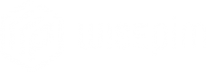 Wisepim-beeldmerk -wit - breed